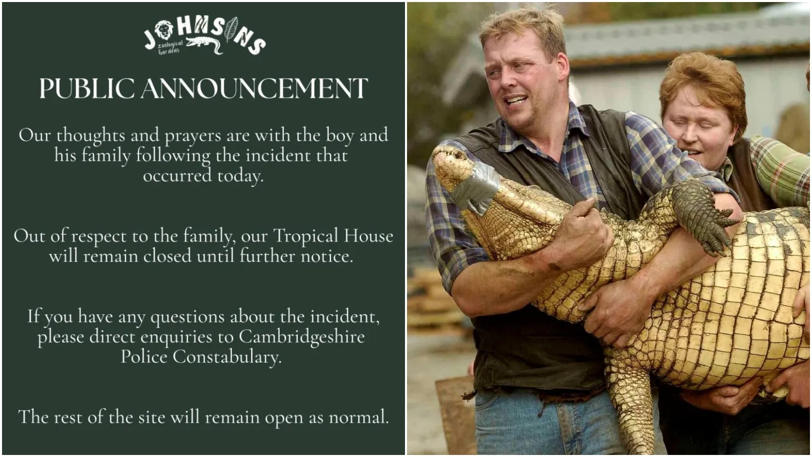 British Zoo Incident British Zoo Incident