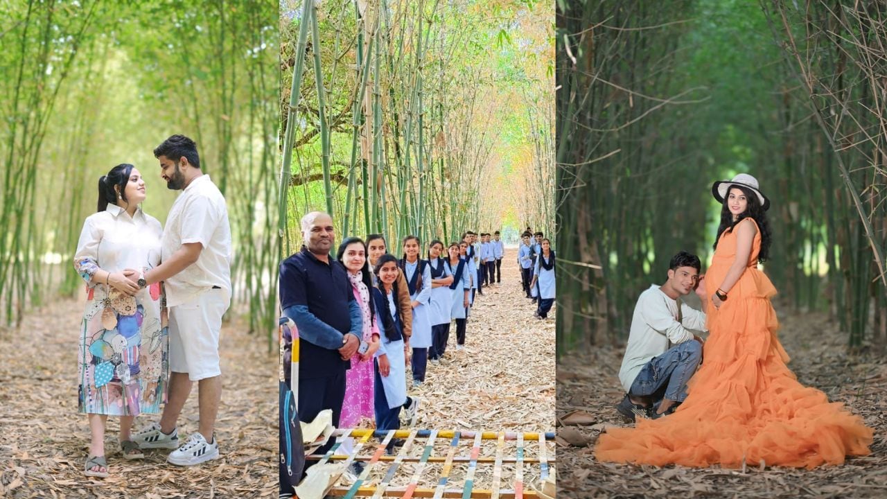 किसान ने बांस के खेत को बना दिया टूरिस्ट स्पॉट: घूमने की फीस 50 रु, कपल 2100 में करा रहे प्री वेडिंग शूट
