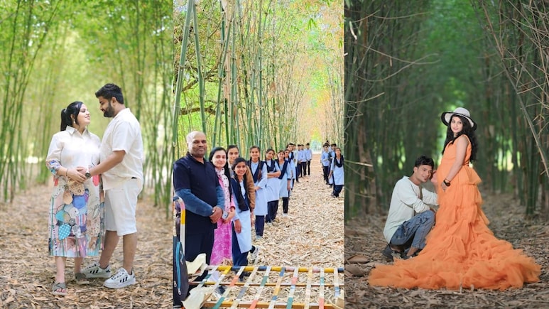 किसान ने बांस के खेत को बना दिया टूरिस्ट स्पॉट: घूमने की फीस 50 रु, कपल 2100 में करा रहे प्री वेडिंग शूट