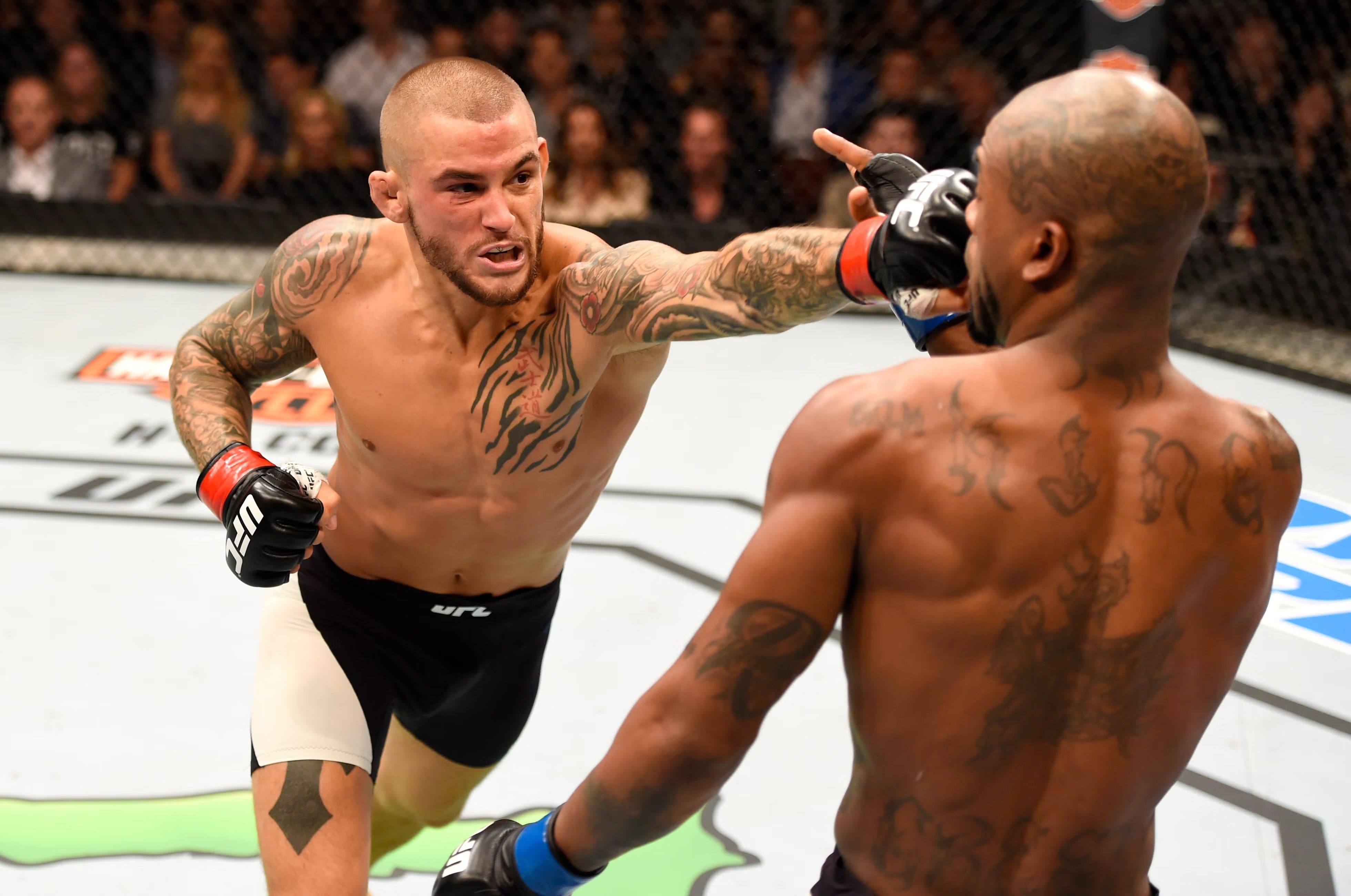 Dustin Poirier: Estimated 2026 Net Worth, Earnings, and Business Ventures