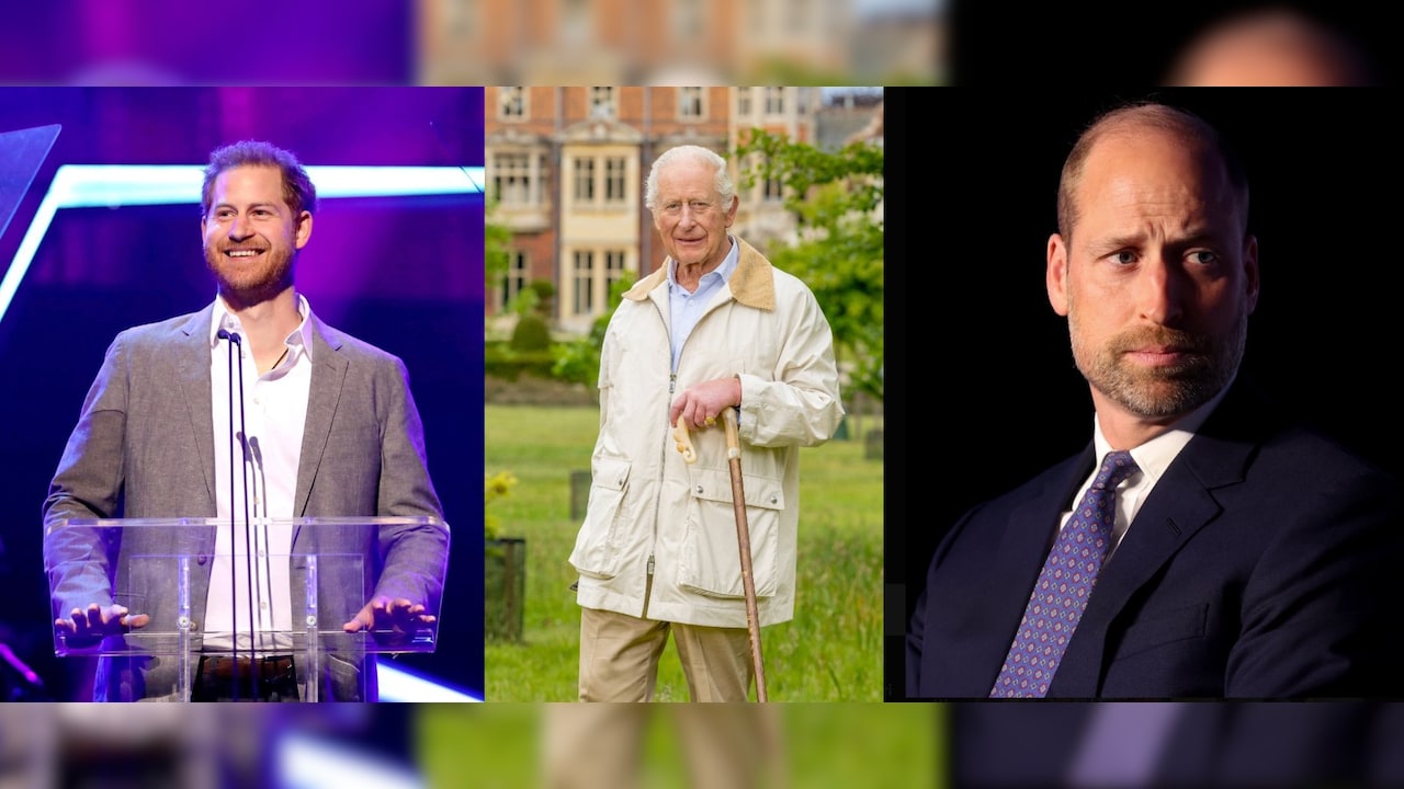 Why Prince Harry’s Meeting With King Charles May Change Nothing About His Relationship With William
