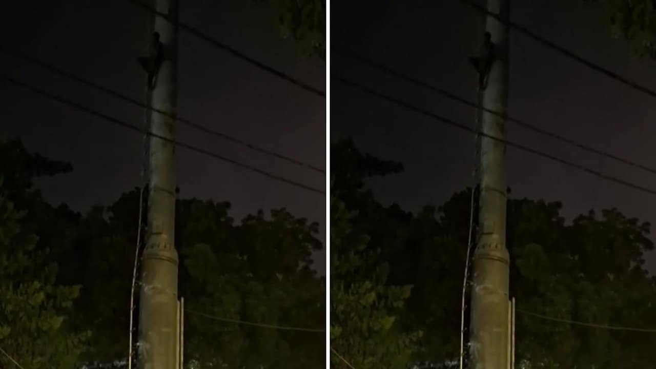 Video: Slapped By Friend, Gujarat Man Climbs Mobile Tower, Demands Apology