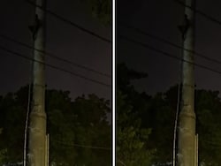 Video: Slapped By Friend, Gujarat Man Climbs Mobile Tower, Demands Apology