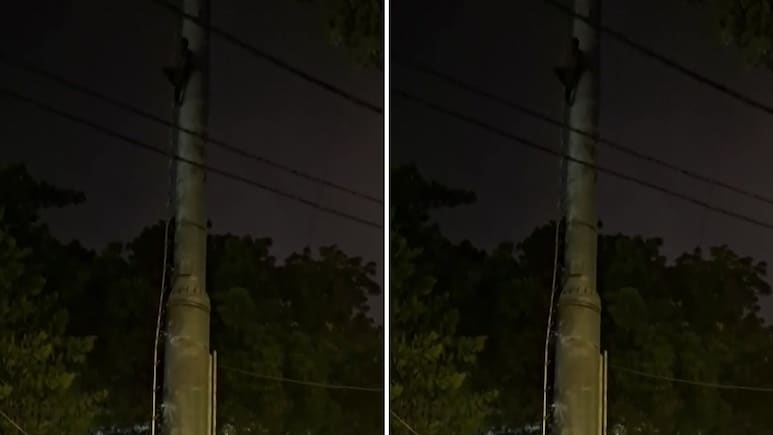 Video: Slapped By Friend, Gujarat Man Climbs Mobile Tower, Demands Apology