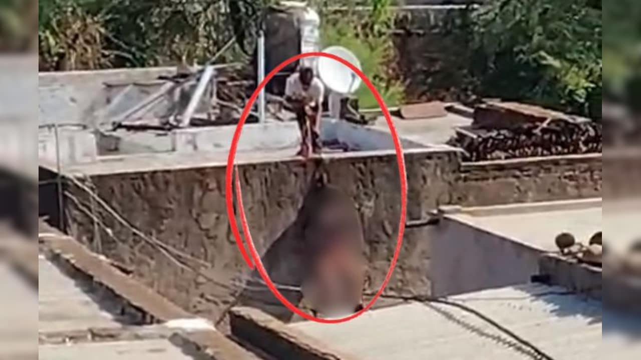 VIDEO: सनकी आशिक की क्रूरता! नाबालिग को कुल्हाड़ी से मारा, गर्दन में रस्सी बांधकर छत से लटकाया