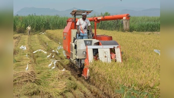 Govt Steps Up El Nino Preparedness; Forms Crop Watch Groups, Fertiliser Stocks At 51%