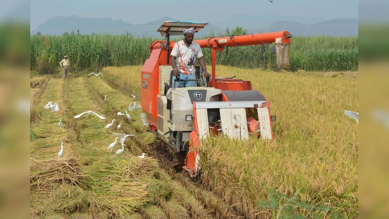 Govt Steps Up El Nino Preparedness; Forms Crop Watch Groups, Fertiliser Stocks At 51%