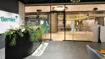 Turtlemint Fintech Solutions IPO GMP Indicates 4% Listing Gains Ahead Of June 19 Launch