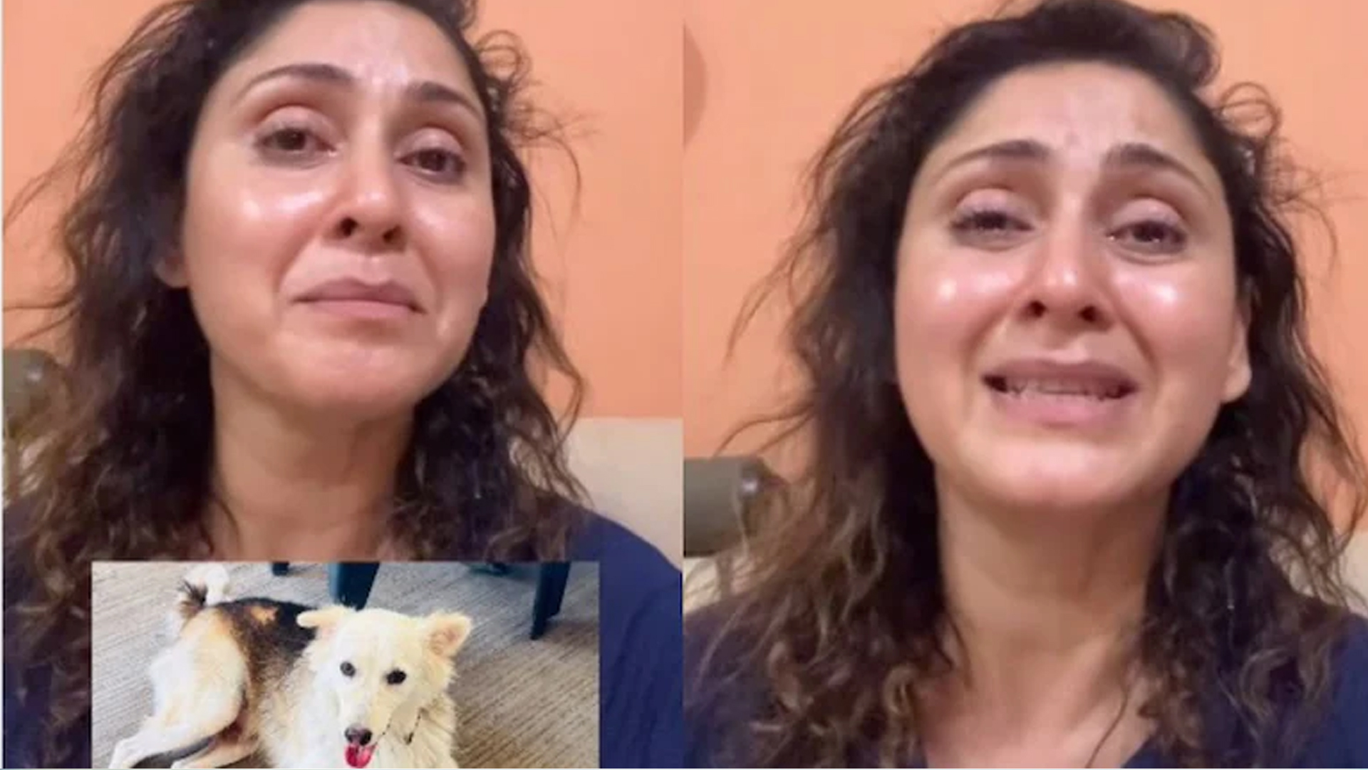 Actor Manjari Fadnis Says Society Dog "Brutally Murdered" In Mumbai: 'They Hit Him Until He Was Bleeding'
