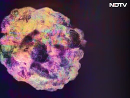 How One Morning In Siberia Changed What Humanity Knows About Space