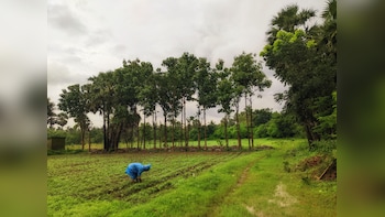 As India&rsquo;s Monsoon Slows, Rainfall Deficit Widens To 35%; Central India Worst Hit