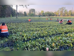 Adani Plants 1.6 Million Trees To Turn Chhattisgarh Coal Mine Green