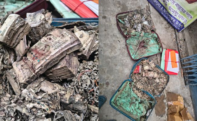 Termite-Infested Cash, Trinamool's 'Secret Room' Found In Kolkata College