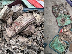 कोलकाता के कॉलेज में दीमक खा गए 100 और 500 के नोटों की गड्डियां, आलीशान कमरे में मिला सूटकेस