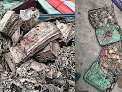 Video: Rs 1 Lakh Termite-Infested Cash Found In Kolkata College Union Room