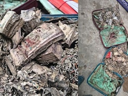 Video: Termite-Infested Cash, 'Secret Room' Found In Kolkata College