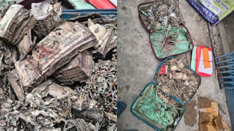 Video: Termite-Infested Cash, 'Secret Room' Found In Kolkata College