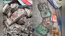 Video: Termite-Infested Cash, 'Secret Room' Found In Kolkata College
