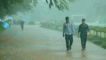 Monsoon Likely To Enter Maharashtra Soon; IMD Warns Of Rains In Tamil Nadu, Bengaluru: Check Forecast