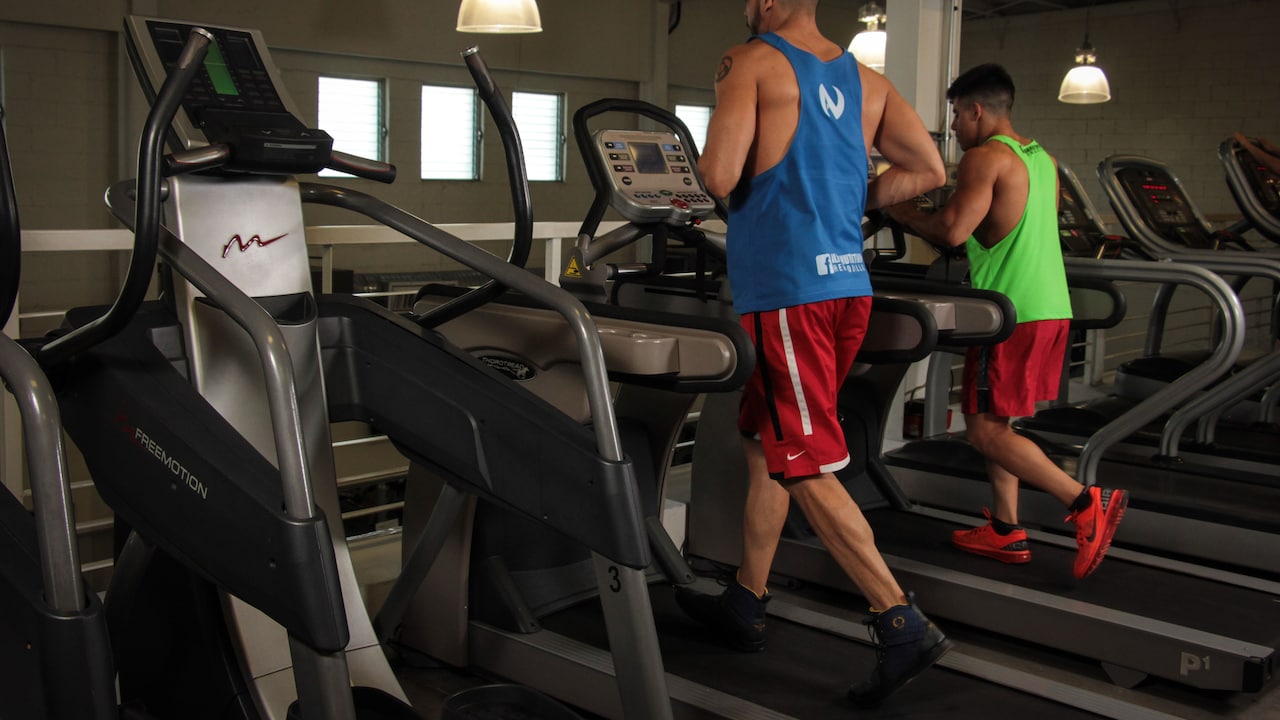 How To Pick A Treadmill That Does Not Shake, Squeak Or Take Over The Room