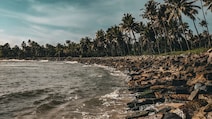 Monsoon Magic Calls 5 Konkan Beaches You Must Visit