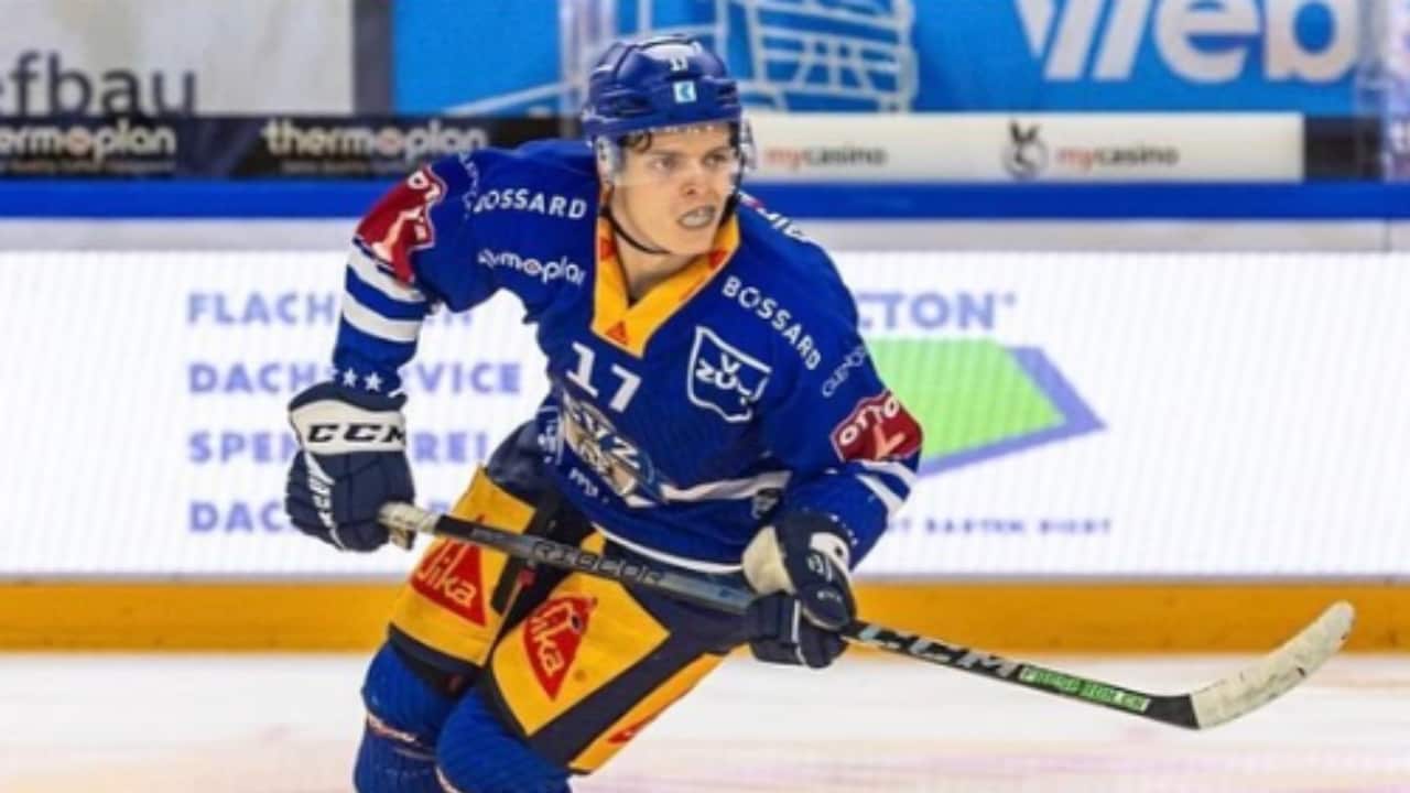 Boston Bruins Agree To Two-Year Deal With HC Fribourg Gotteron Forward Attilio Biasca — WellsTrack