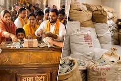 राम मंदिर में कैसे होती है दान के पैसों की गिनती, कैसे पहुंचता है बैंक? AI वीडियो से देखिए
