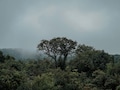 Monsoon 2026: मान्सून आला तरी पेरणीची घाई नको! हवामान विभागाने का दिलाय असा सल्ला? जाणून घ्या सविस्तर