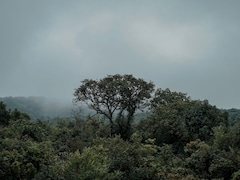 Monsoon 2026: मान्सून आला तरी पेरणीची घाई नको! हवामान विभागाने का दिलाय असा सल्ला? जाणून घ्या सविस्तर