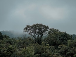 Monsoon 2026: मान्सून आला तरी पेरणीची घाई नको! हवामान विभागाने का दिलाय असा सल्ला? जाणून घ्या सविस्तर