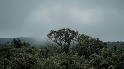 Monsoon 2026: मान्सून आला तरी पेरणीची घाई नको! हवामान विभागाने का दिलाय असा सल्ला? जाणून घ्या सविस्तर