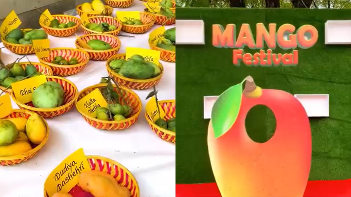 Delhi's Favourite Mango Festival Returns For 35th Edition With Rare Mangoes