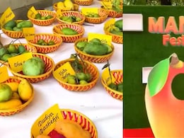 Delhi's Favourite Mango Festival Returns! 35th Edition Brings Rare Mangoes, Live Performances And Contests
