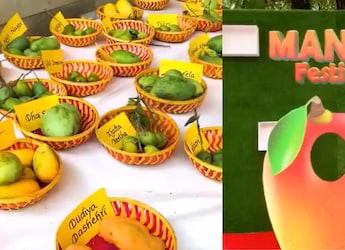 Delhi's Favourite Mango Festival Returns! 35th Edition Brings Rare Mangoes, Live Performances And Contests