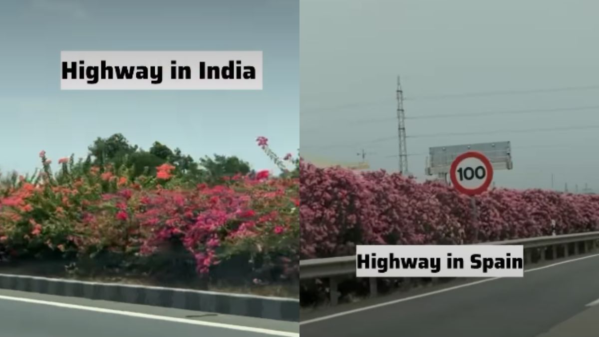 Indian Woman Returns From Abroad, Says 'Infrastructure Gap' Has Narrowed