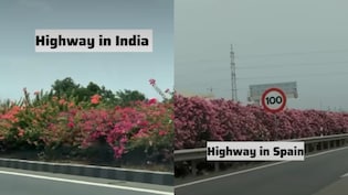 Indian Woman Returns From Abroad, Says 'Infrastructure Gap' Has Narrowed
