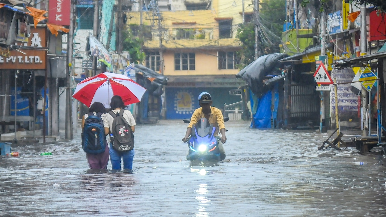 Bengal Rain