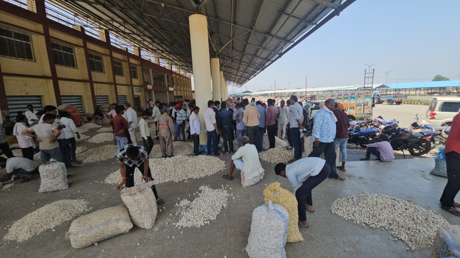 Garlic Price Hike: व्यापारियों ने स्टॉक बढ़ाया Garlic Price Hike: व्यापारियों ने स्टॉक बढ़ाया