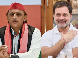 यूपी चुनाव से पहले कांग्रेस ने ख़ुद को 'बरगद' कहा तो सपा ने 'आम' की याद क्यों दिला दी?