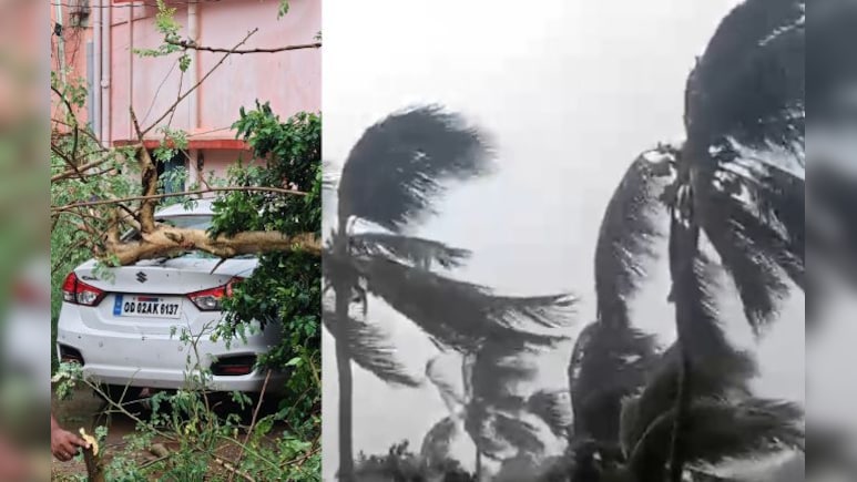 ओडिशा में &lsquo;काल बैशाखी&rsquo; तूफान का कहर: उखड़े पेड़, होर्डिंग्स धराशायी, मिनटों में थमी शहर की रफ्तार