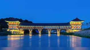 South Korea Rolls Out F-1-D 'Workation' Visa: 3-Year Stay, Lower Income Bar For Youth