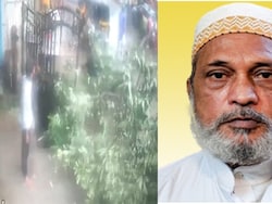 Another Monsoon Death In Mumbai, Man Dies After Tree Falls On Him Amid Rain