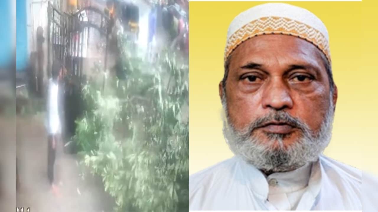 Mumbai Monsoon Danger: Second Fatal Tree Collapse Leaves 63-Year-Old Dead In Kurla