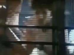Video: From Police Van, Bihar Student Asks Mother, "Have You Eaten?"