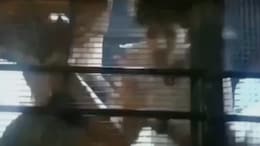 Video: From Police Van, Bihar Student Asks Mother, "Have You Eaten?"