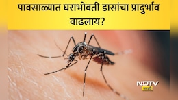 Mosquito Control: पावसाळ्यात घराला मच्छरपासून कसं वाचवावं? आजारांपासून दूर राहण्यासाठी फॉलो 'या' 5 टिप्स