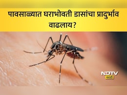 Mosquito Control: पावसाळ्यात घराला मच्छरपासून कसं वाचवावं? आजारांपासून दूर राहण्यासाठी फॉलो 'या' 5 टिप्स
