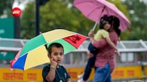 Heavy Rain Alert: मुंबई, पुणे, ठाणे और पालघर में आज स्कूल-कॉलेज बंद, मुंबई यूनिवर्सिटी ने टाली परीक्षाएं