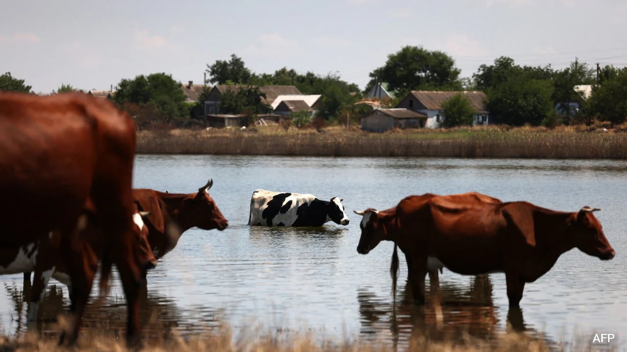 Ticking Timebomb: Ukraine Says Russia Burying "Bioweapon" In Its Territory