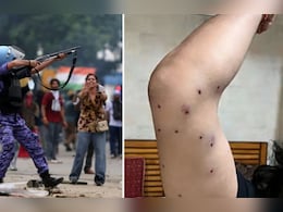 RAF Fired Pellets On Protesters On Orders Of Delhi Cop, Shows Police Document